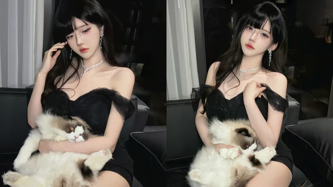 【12厅】明月江灯祝宁清哥哈尼哥羊总發財