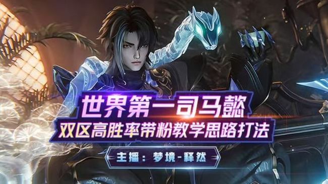 国1司马懿99二十五星守护上号荣耀