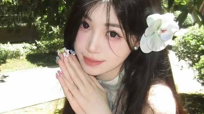 听说萌新好欺负