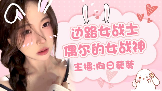 国服关羽的粉丝