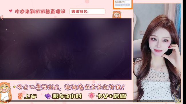 心碎小猫求守护