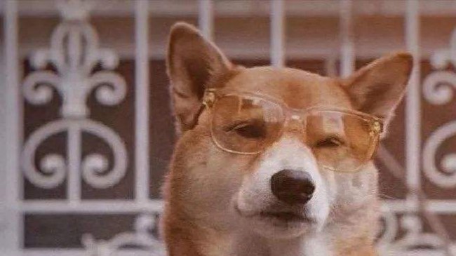 祝我自己生日快乐