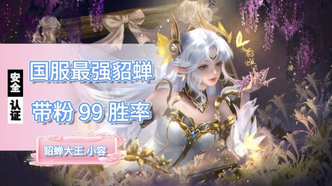 99荣耀266百星国一女貂蝉无敌带粉