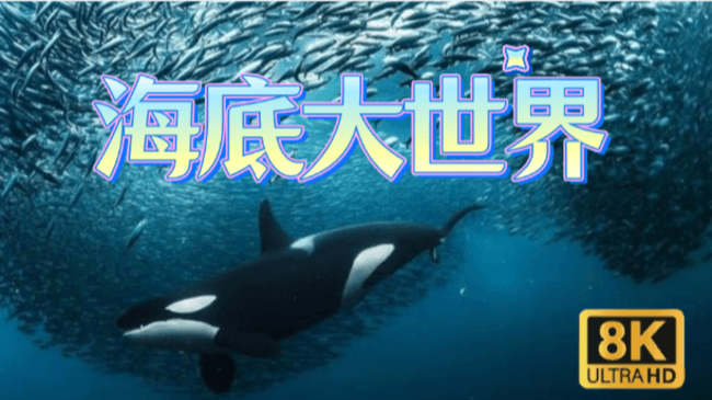 海底的绚烂美丽，你我一同见证！